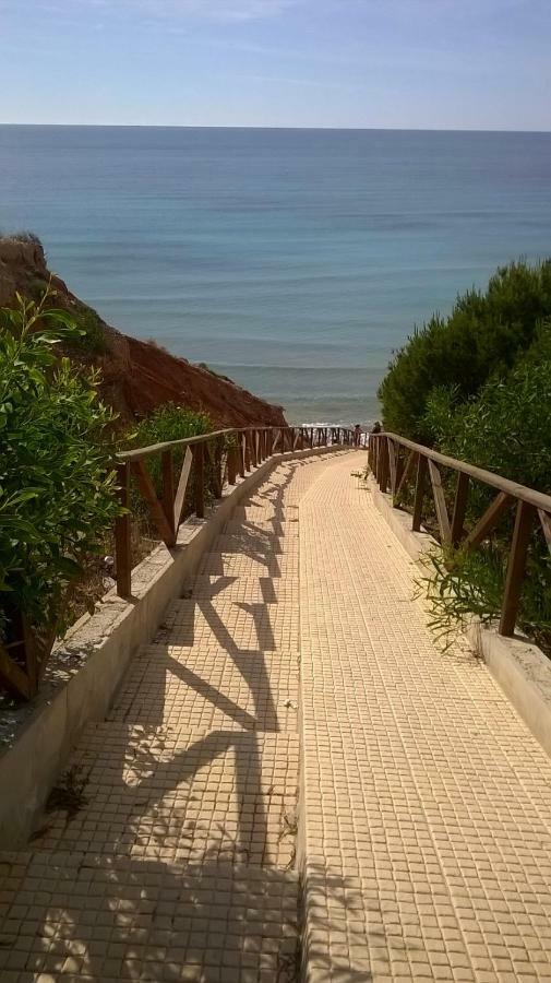 Apartamento Mandarin Playamarina II Orihuela Esterno foto